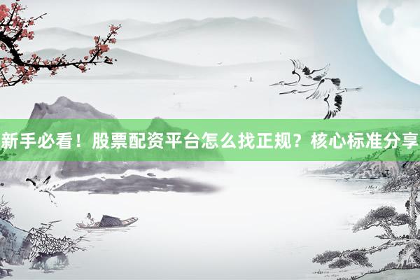 新手必看！股票配资平台怎么找正规？核心标准分享