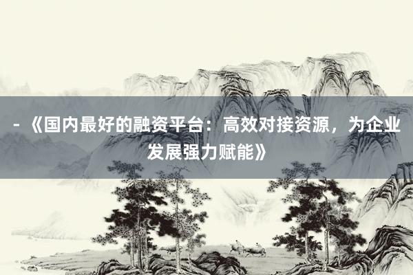 - 《国内最好的融资平台：高效对接资源，为企业发展强力赋能》