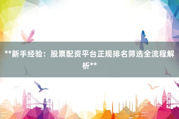 **新手经验：股票配资平台正规排名筛选全流程解析**